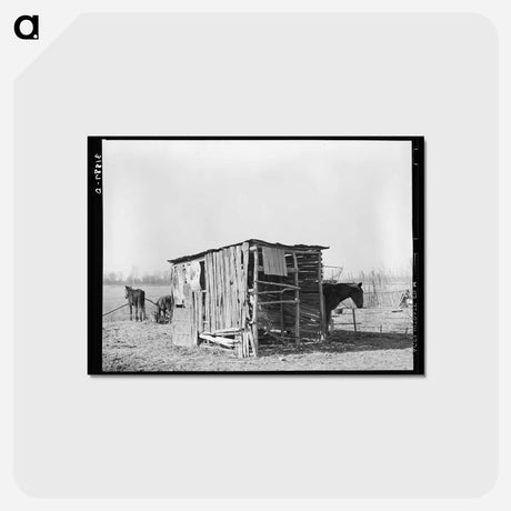 アートポストカード-Sharecropper's Shed
 - ラッセル リー Postcard.