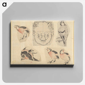 アートパネル-Four sketches of birds and one design for a grotesque mask - 葛飾 北斎 Canvas.