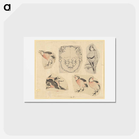 アートポストカード-Four sketches of birds and one design for a grotesque mask - 葛飾 北斎 Postcard.