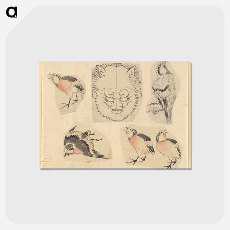 アートポストカード-Four sketches of birds and one design for a grotesque mask - 葛飾 北斎 Postcard.