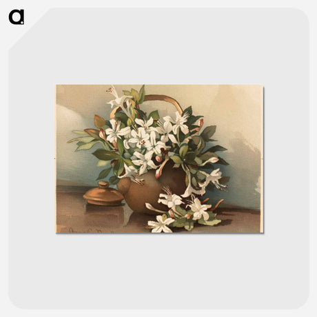 アートポストカード-Wild Azaleas and Wild Roses No. 3
 - ボストン公共図書館 Postcard.