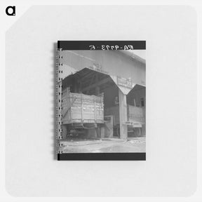 アートメモ帳-The cotton gin near Robstown, Texas - ドロテア ラング Memo.
