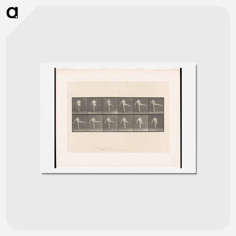 アートポストカード-Ballet Performer
 - エドワード マイブリッジ Postcard.