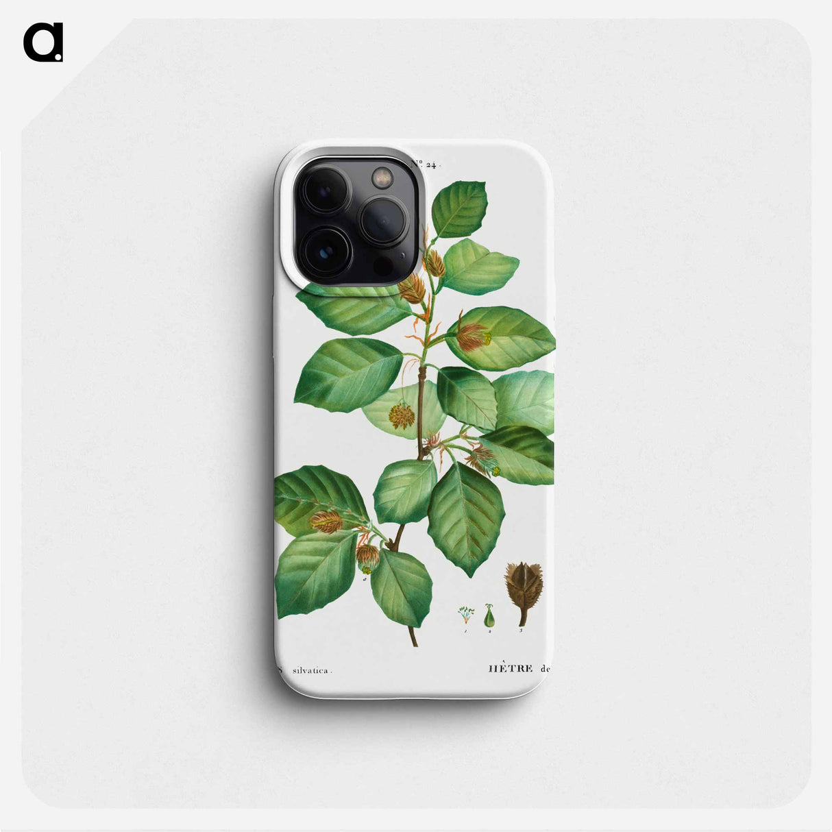 European beech - Pierre Joseph Redouté Phone Case.