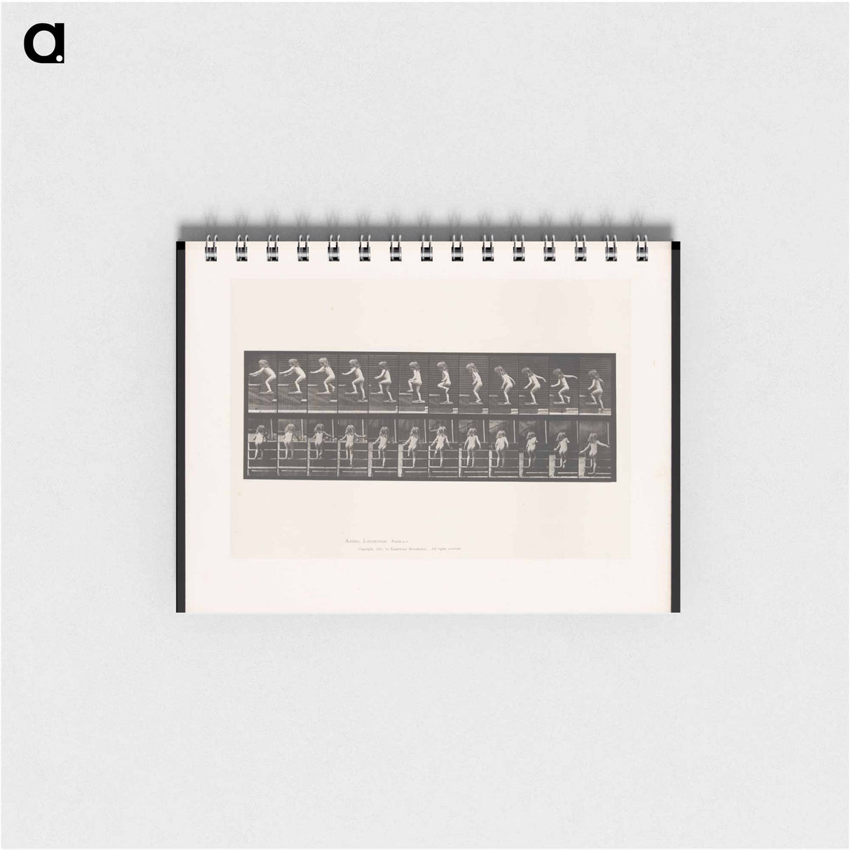 アートメモ帳-Climbing Up
 - エドワード マイブリッジ Memo.
