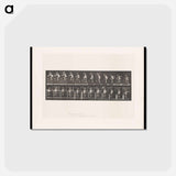 アートポストカード-Climbing Up
 - エドワード マイブリッジ Postcard.