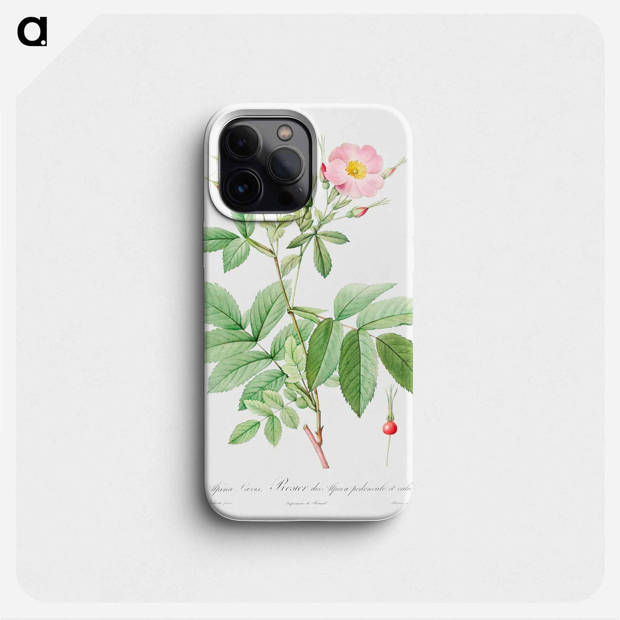 Alpine Rose - Pierre Joseph Redouté Phone Case.