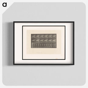 アートポスター-Naked Horseman
 - エドワード マイブリッジ Poster.