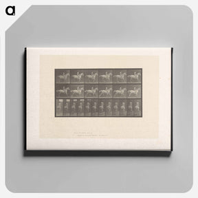 アートパネル-Naked Horseman
 - エドワード マイブリッジ Canvas.