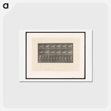 アートポストカード-Naked Horseman
 - エドワード マイブリッジ Postcard.