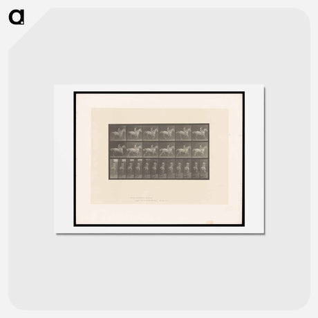 アートポストカード-Naked Horseman
 - エドワード マイブリッジ Postcard.
