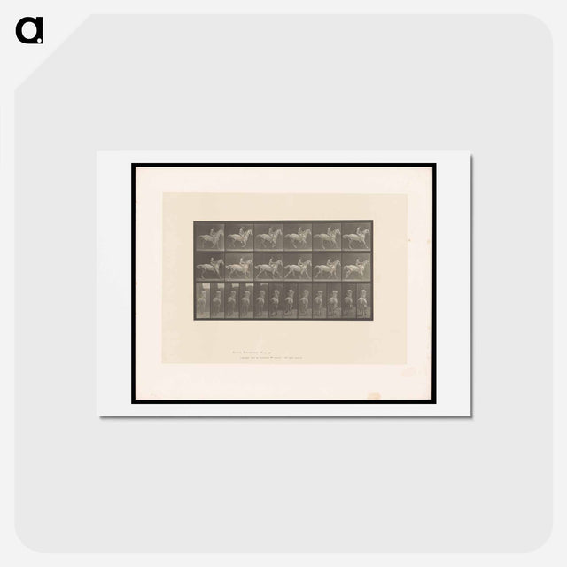 アートポストカード-Naked Horseman
 - エドワード マイブリッジ Postcard.