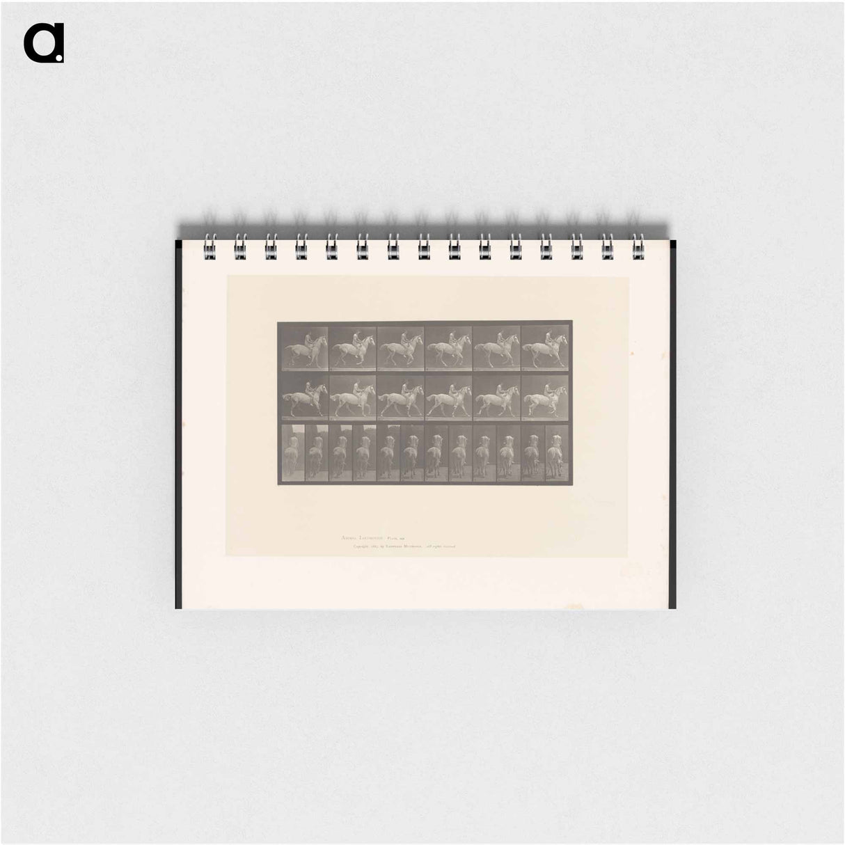 アートメモ帳-Naked Horseman
 - エドワード マイブリッジ Memo.