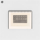 アートメモ帳-Naked Horseman
 - エドワード マイブリッジ Memo.