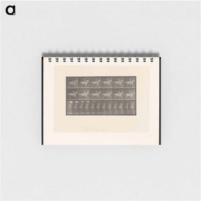 アートメモ帳-Naked Horseman
 - エドワード マイブリッジ Memo.