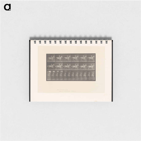 アートメモ帳-Naked Horseman
 - エドワード マイブリッジ Memo.