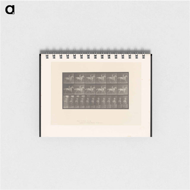 アートメモ帳-Naked Horseman
 - エドワード マイブリッジ Memo.