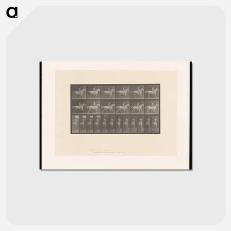 アートポストカード-Naked Horseman
 - エドワード マイブリッジ Postcard.