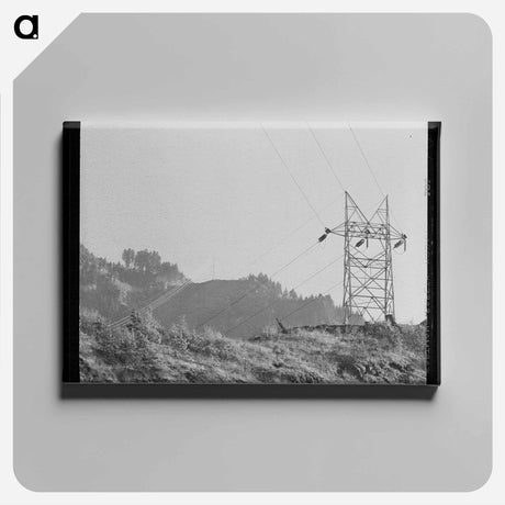 アートパネル-Family Record and Decorations
 - ラッセル リー Canvas.
