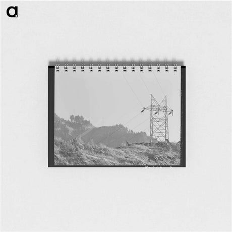 アートメモ帳-Family Record and Decorations
 - ラッセル リー Memo.