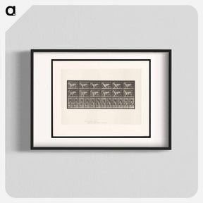 アートポスター-Goat Cart
 - エドワード マイブリッジ Poster.