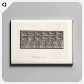 アートパネル-Goat Cart
 - エドワード マイブリッジ Canvas.