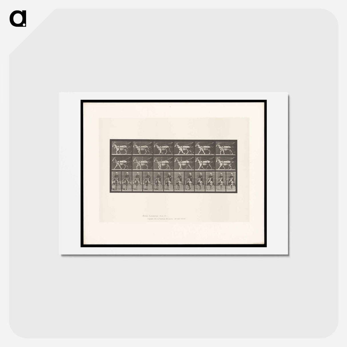 アートポストカード-Goat Cart
 - エドワード マイブリッジ Postcard.