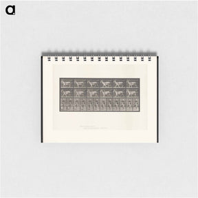 アートメモ帳-Goat Cart
 - エドワード マイブリッジ Memo.