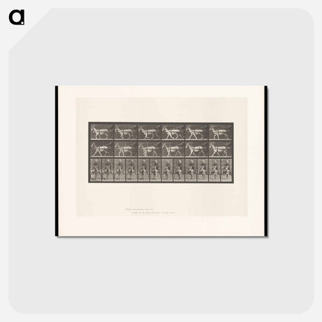 アートポストカード-Goat Cart
 - エドワード マイブリッジ Postcard.