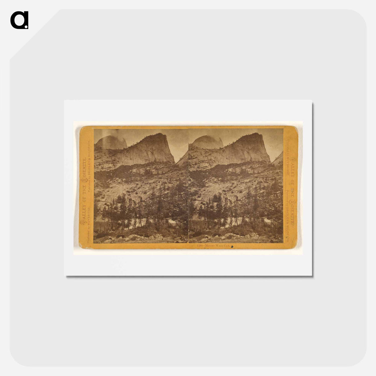 アートポストカード-Mount Wild Cat
 - エドワード マイブリッジ Postcard.