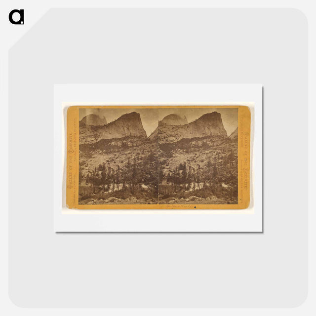 アートポストカード-Mount Wild Cat
 - エドワード マイブリッジ Postcard.