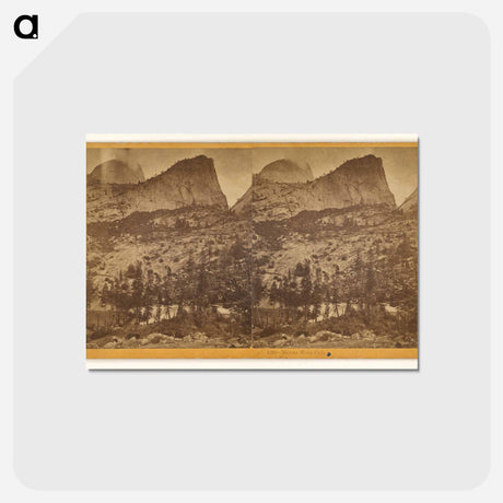 アートポストカード-Mount Wild Cat
 - エドワード マイブリッジ Postcard.