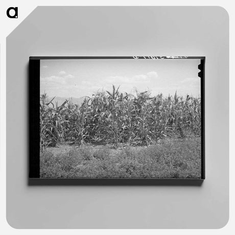 アートパネル-Southside Chicago
 - ラッセル リー Canvas.