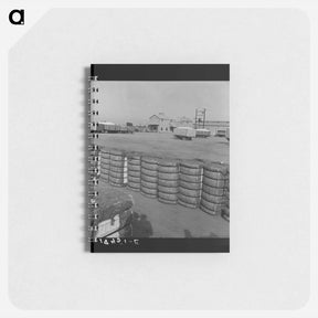 アートメモ帳-Untitled photo - ドロテア ラング Memo.
