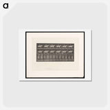 アートポストカード-Naked Man on Horse
 - エドワード マイブリッジ Postcard.