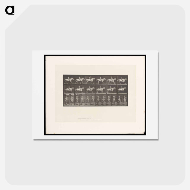 アートポストカード-Naked Man on Horse
 - エドワード マイブリッジ Postcard.
