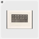 アートポストカード-Naked Man on Horse
 - エドワード マイブリッジ Postcard.