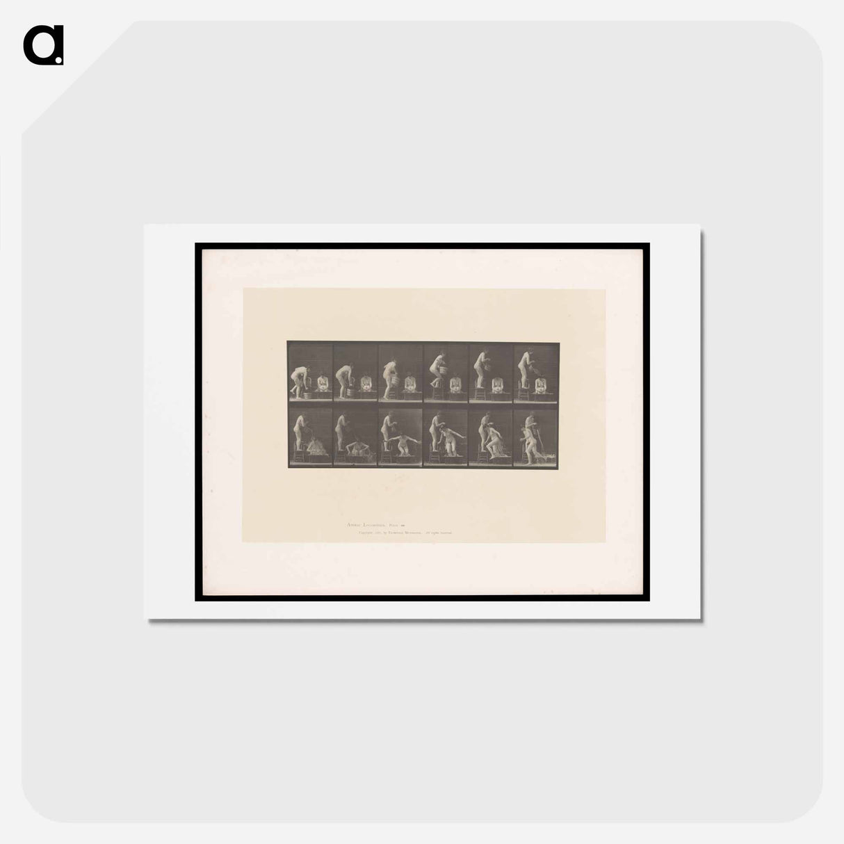 アートポストカード-The Water Pour
 - エドワード マイブリッジ Postcard.