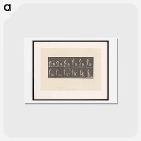 アートポストカード-The Water Pour
 - エドワード マイブリッジ Postcard.