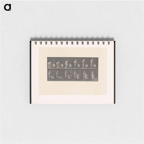 アートメモ帳-The Water Pour
 - エドワード マイブリッジ Memo.