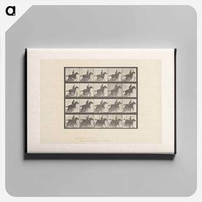 アートパネル-Horse in Motion
 - エドワード マイブリッジ Canvas.