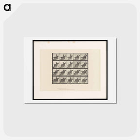 アートポストカード-Horse in Motion
 - エドワード マイブリッジ Postcard.