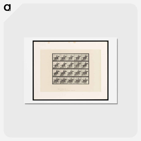 アートポストカード-Horse in Motion
 - エドワード マイブリッジ Postcard.