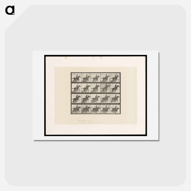 アートポストカード-Horse in Motion
 - エドワード マイブリッジ Postcard.