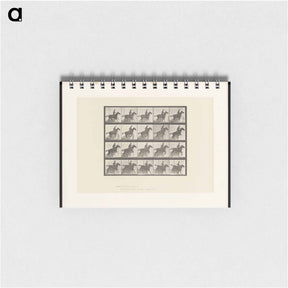 アートメモ帳-Horse in Motion
 - エドワード マイブリッジ Memo.