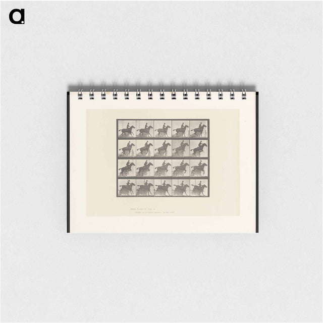 アートメモ帳-Horse in Motion
 - エドワード マイブリッジ Memo.