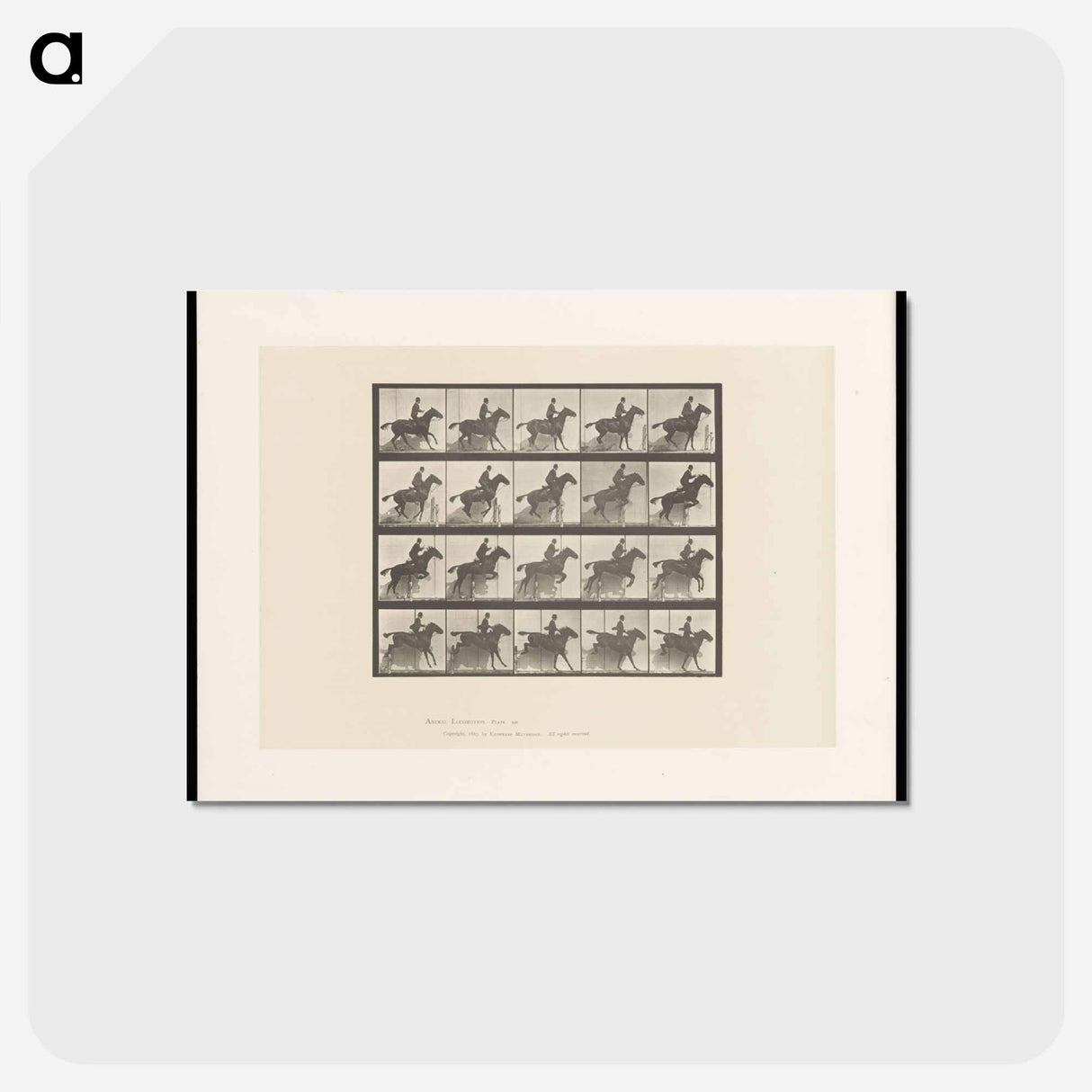 アートポストカード-Horse in Motion
 - エドワード マイブリッジ Postcard.