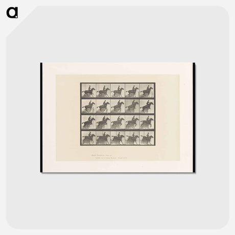 アートポストカード-Horse in Motion
 - エドワード マイブリッジ Postcard.