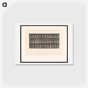 アートポストカード-Woman with Jug
 - エドワード マイブリッジ Postcard.