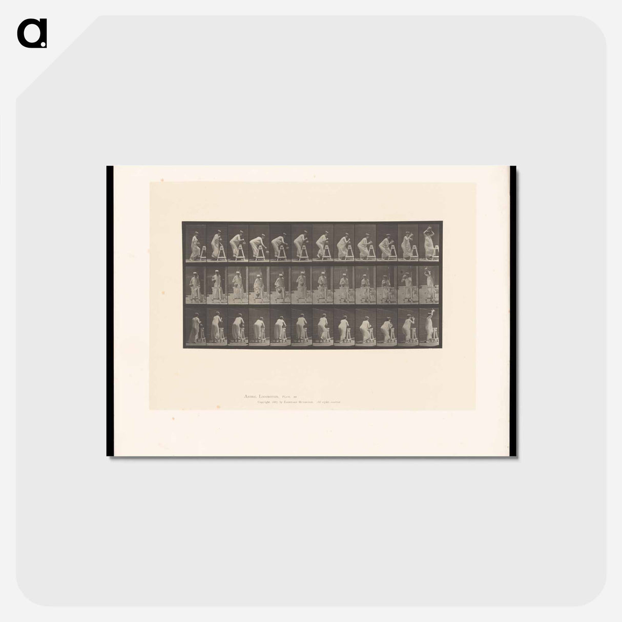 アートポストカード-Woman with Jug
 - エドワード マイブリッジ Postcard.